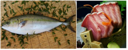 Cá Cam Nhật Bản Ăn Sashimi
