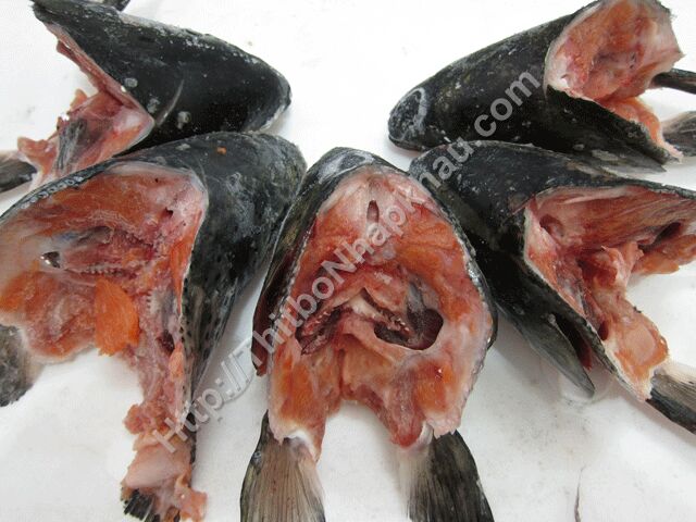 Ảnh khác của Đầu Cá Hồi Nauy Tươi- Salmon Head